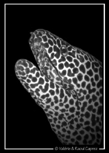 White spot in the dark. 
I accentuated the dark behind a... by Raoul Caprez 